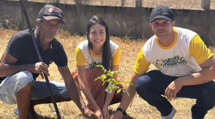 Deso doa mudas nativas da Caatinga para município de Nossa Senhora da Glória