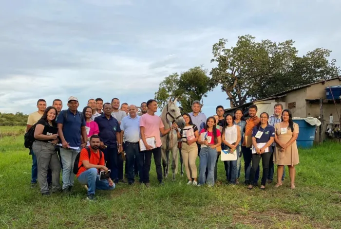 Sada e Adapi promove curso sobre resenha e pelagem de equinos em Bom Jesus