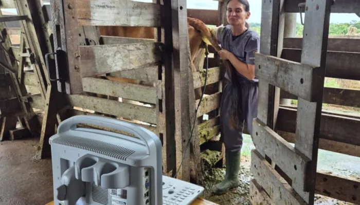Projeto “Rufião Móvel” da Emater auxilia produtores da Zona da Mata na avaliação reprodutiva do rebanho leiteiro