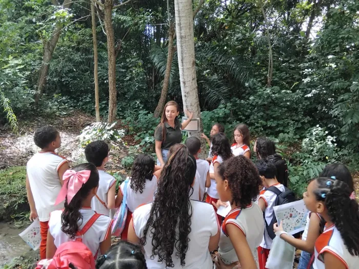 Primeiro dia da Festa Anual das Árvores tem trilha educativa e distribuição de mudas