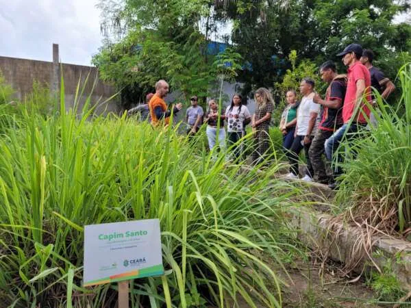 Sesa capacita Agentes Indígenas de Cultivo para projeto Interculturalidade e Farmácias Vivas no SUS Ceará