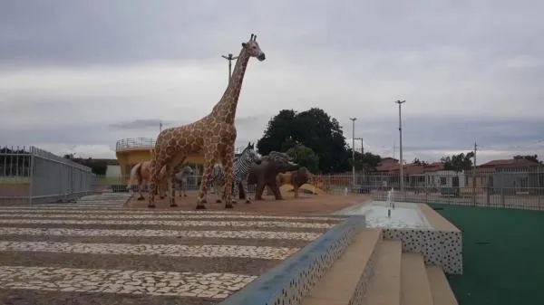 Foto: Reprodução/Câmara de Sorriso - MT