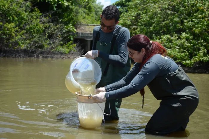 Pesquisadores da UEPB aprofundam estudo sobre ecossistema da foz do Rio Jaguaribe