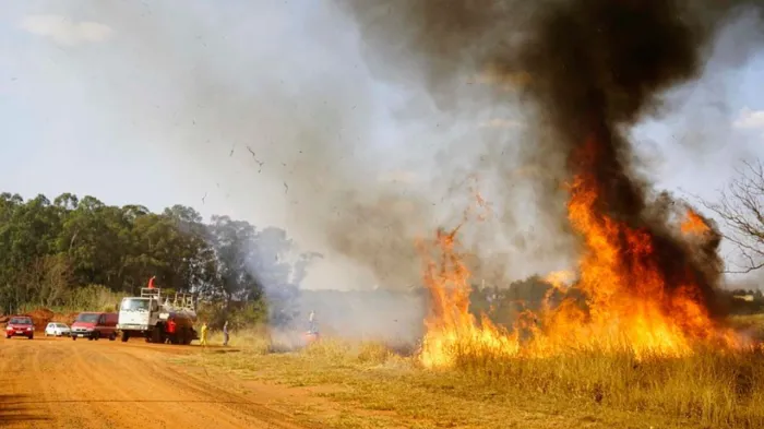 Operação SP Sem Fogo terá treinamento em Rio Preto