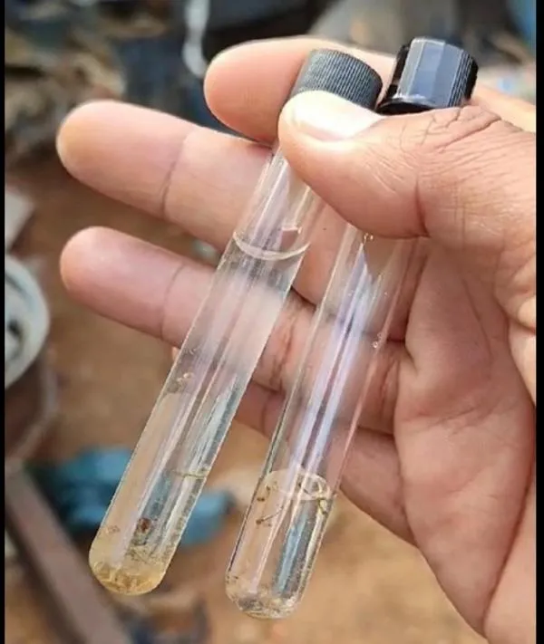 Profissionais da Saúde debatem manejo clínico de arboviroses