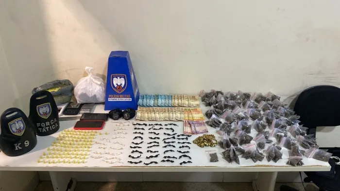 Foto: Reprodução/Polícia Militar - ES