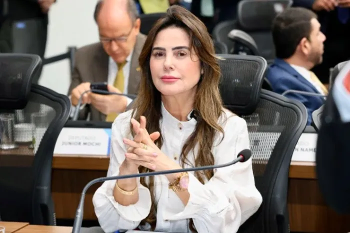 Mara Caseiro solicita construção de ponte de concreto em Dois Irmãos do Buriti