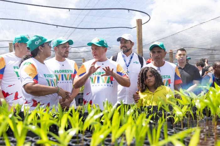 Maranhão registra queda no desmatamento dos biomas Cerrado e Amazônia no primeiro bimestre de 2025