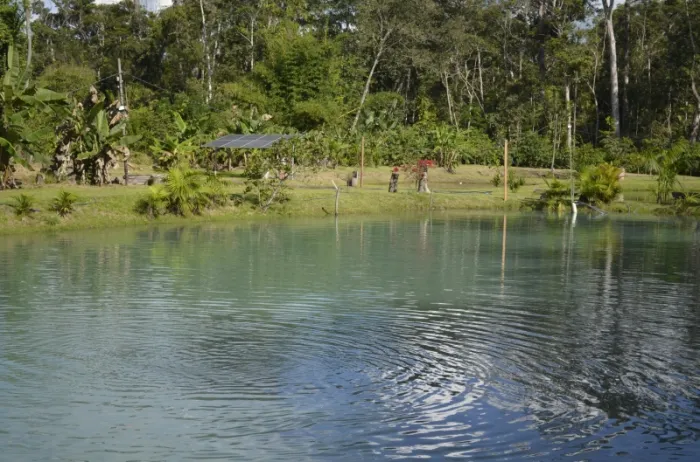 Foto: Reprodução/Prefeitura de Sinop - MT