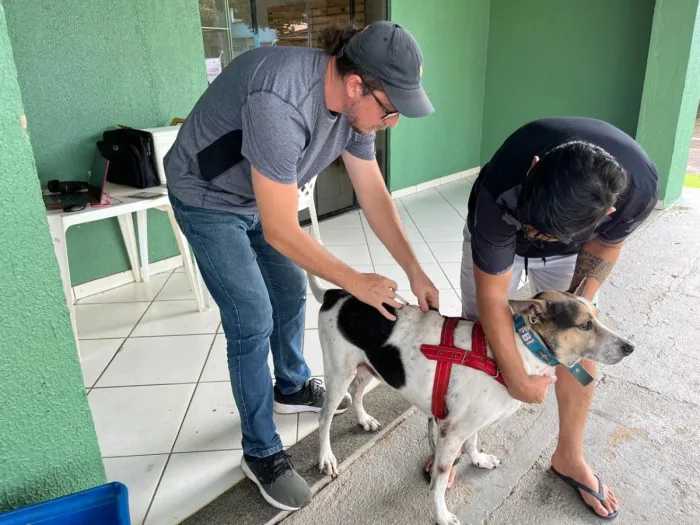 Mais de 600 animais são vacinados contra a raiva em ação itinerante da Prefeitura de Porto Velho