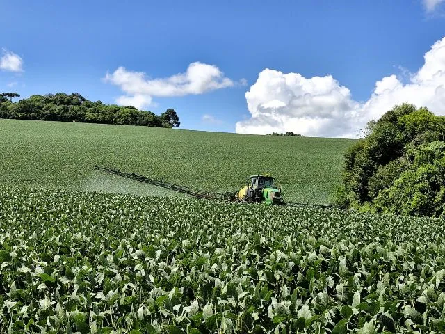 Produção de soja na Serra Catarinense deve crescer 28% este ano