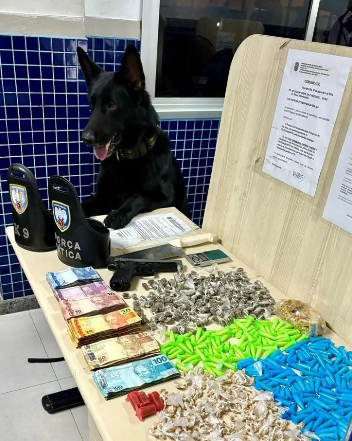 Foto: Reprodução/Polícia Militar - ES