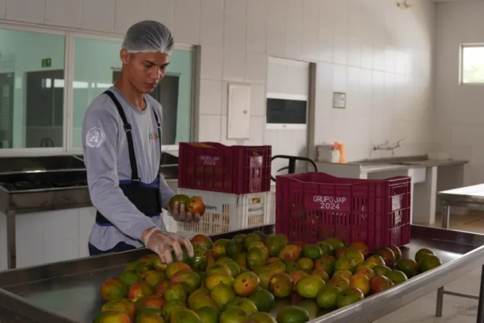 Banco de Alimentos da Nova Ceasa atinge 1,5 milhão de quilos de frutas e verduras distribuídas a instituições sociais