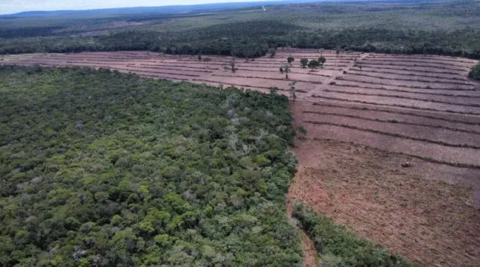 Relatório da “Operação Hileia” destaca avanços no combate ao desmatamento em Rondônia