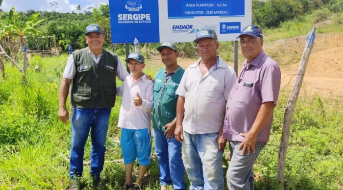 Sergipe avança na certificação da produção de mudas de cacau para expandir produção