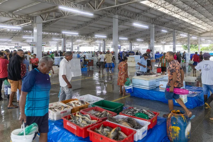 Entreposto Pesqueiro do Maranhão funciona de terça a domingo e fortalece cadeia de pescados no estado