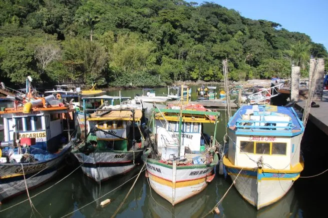 Foto: Reprodução/Prefeitura de São Sebastião - SP