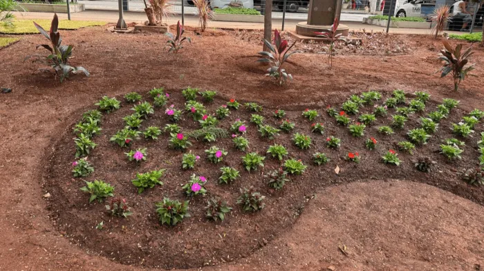 Desenvolvimento Econômico revitaliza jardins da Praça Rui Barbosa