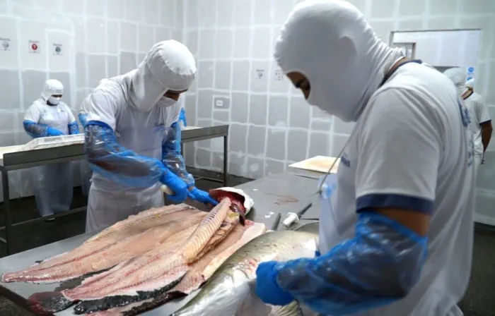 Indústria de Rondônia recebe certificação e amplia mercado de peixes para todo o Brasil
