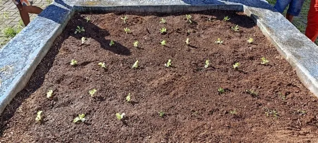 Foto: Reprodução/Prefeitura de São Sebastião - SP