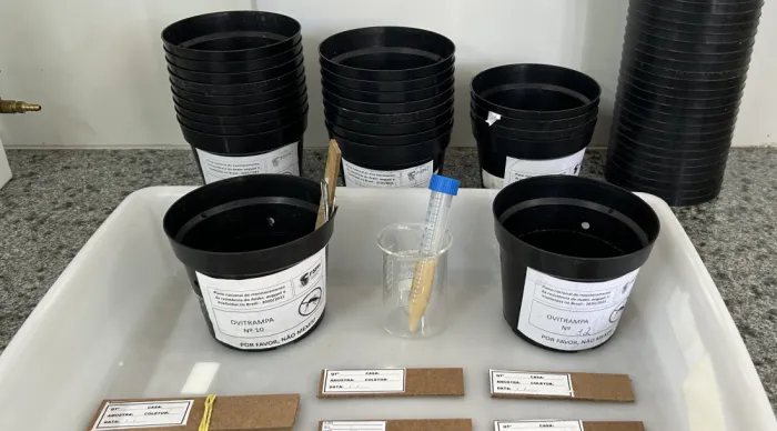 Lacen utiliza armadilhas para auxiliar no monitoramento e combate do Aedes aegypti