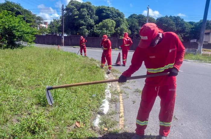 Emlur executa zeladoria e coleta de poda e entulhos em mais de 30 localidades