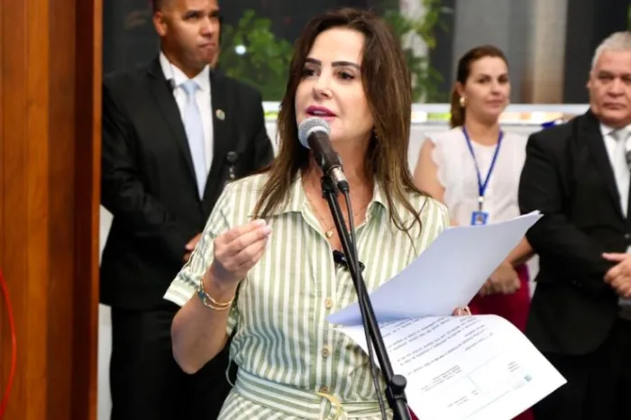 Implantação de Escola Agrícola em Costa Rica é solicitada por Mara Caseiro