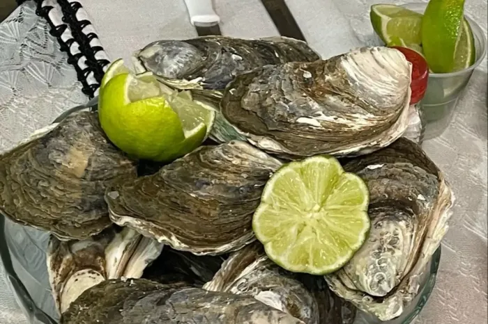 Foto: Mateus Costa ASCOM Sedap