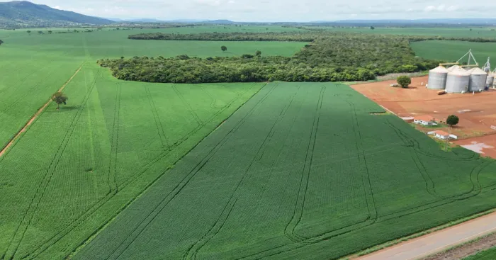 Recorde do agro: Líder no Estado, Porto Nacional exporta R$ 718 milhões em apenas três meses