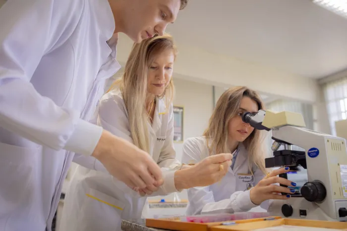 UEM e Unioeste têm nota máxima e Paraná confirma 3° melhor ensino superior do Brasil