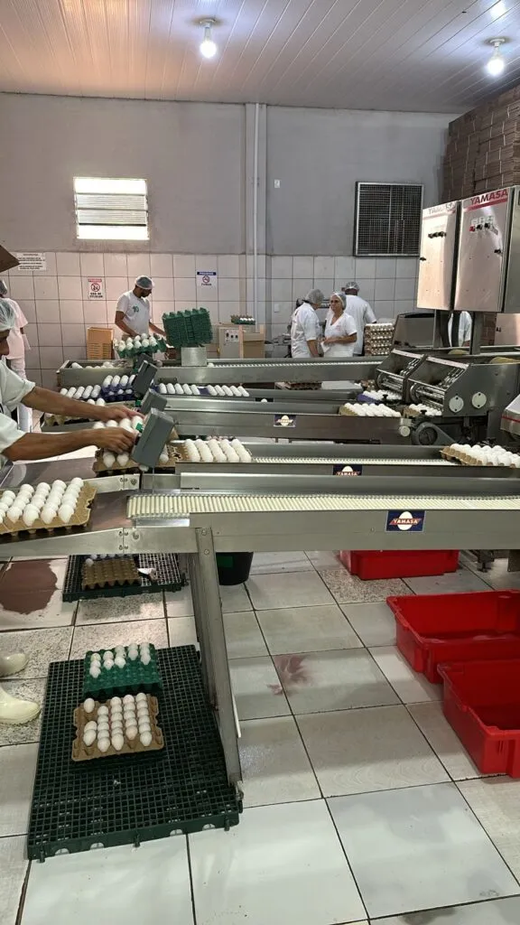 Sada e Adapi promovem fiscalização em indústrias e lojas de peixes e ovos e orienta população sobre selo de qualidade