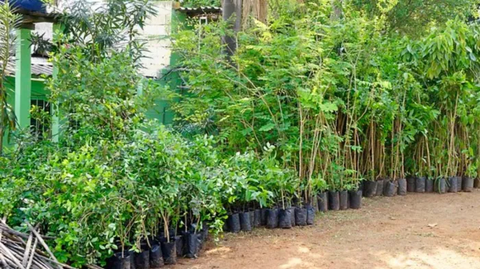 Comunicação Social