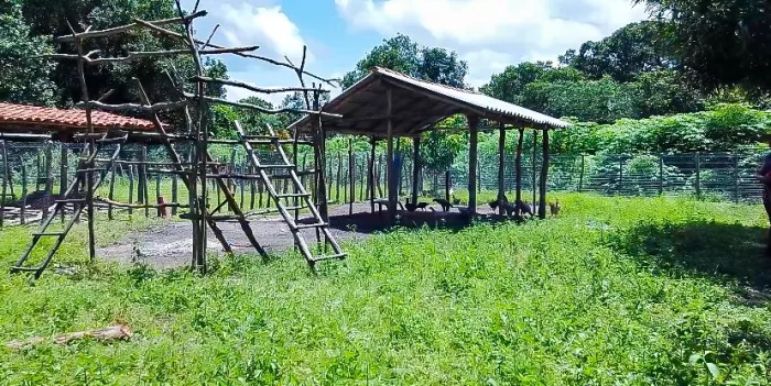 Programa Fomento Rural transformam a realidade de agricultores familiares no Piauí