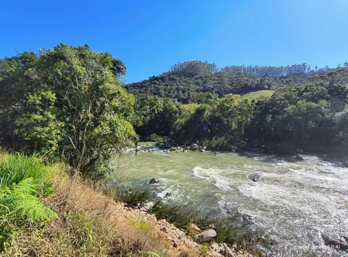 Programa Pacto da Mata Ciliar recupera seis hectares de áreas degradadas em Angelina