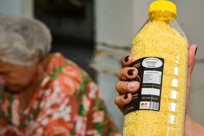 Foto: Divulgação / Agência Pará