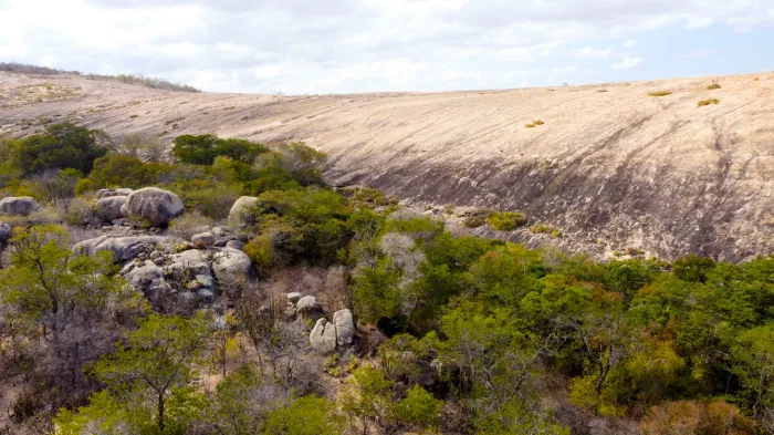 Pesquisas revelam áreas da Caatinga com vegetação da Mata Atlântica e vestígios de civilizações antigas