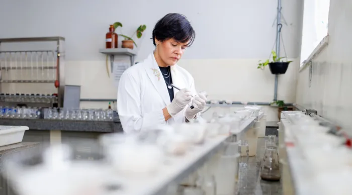 ITPS desenvolve projetos que promovem tecnologia e sustentabilidade em favor da sociedade