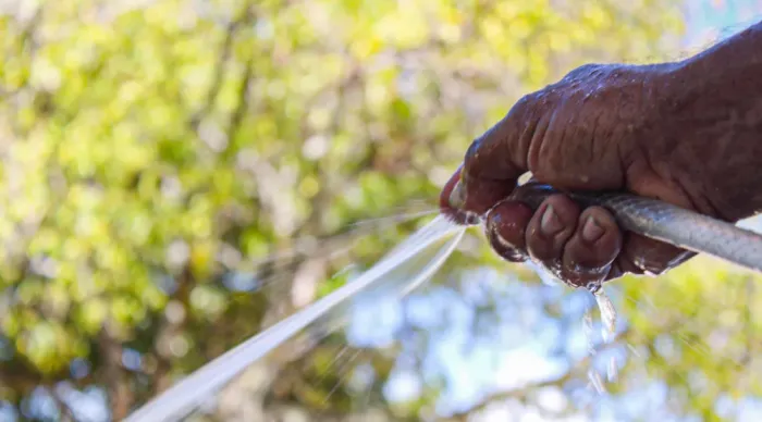 Deso alerta sobre uso inadequado de defensivos agrícolas que podem prejudicar abastecimento