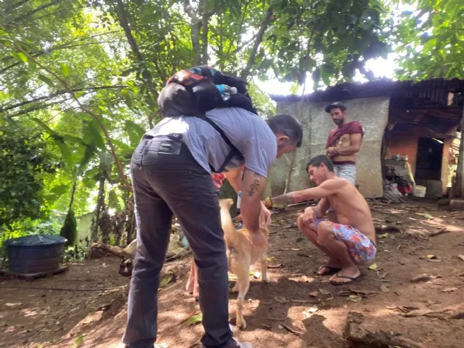 Foto: Reprodução/Prefeitura de São Sebastião - SP