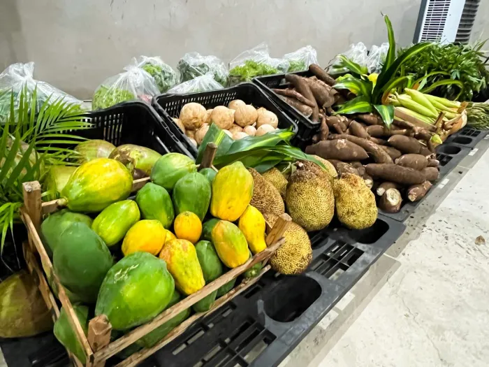 - Programa de Aquisição de Alimentos beneficia agricultores familiares maranhenses em R$ 5,1 milhões (Foto: Divulgação)