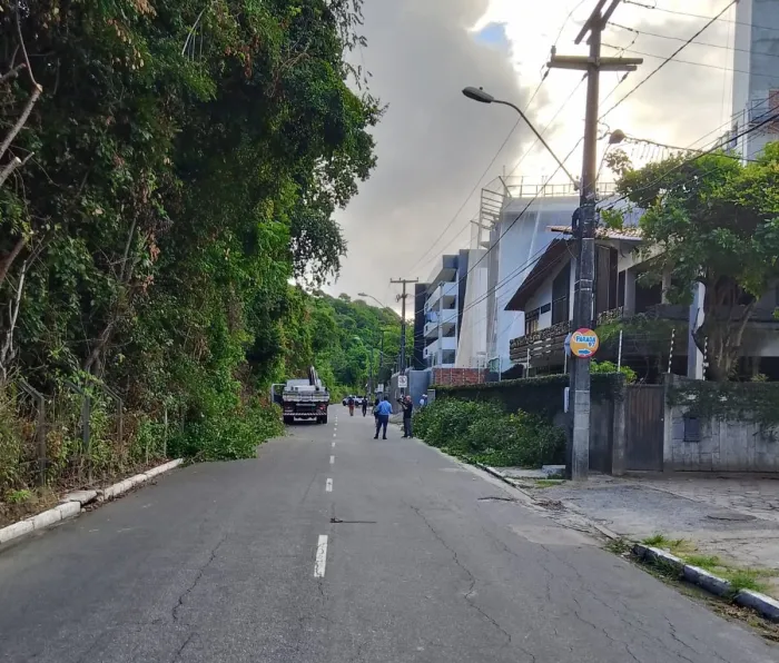 Equipes da Prefeitura se mobilizam e liberam via após queda de árvore