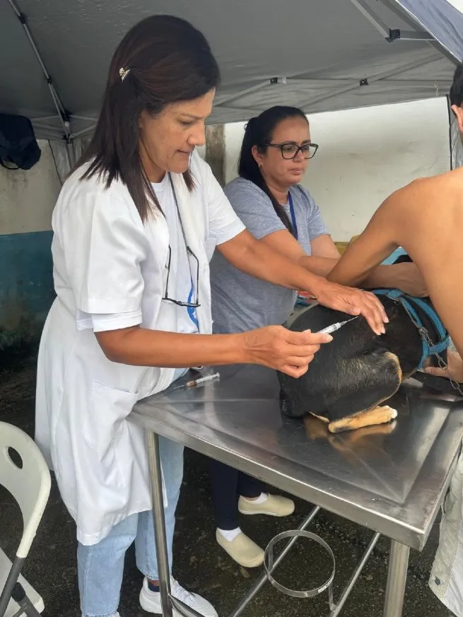 Foto: Reprodução/Prefeitura de São Sebastião - SP
