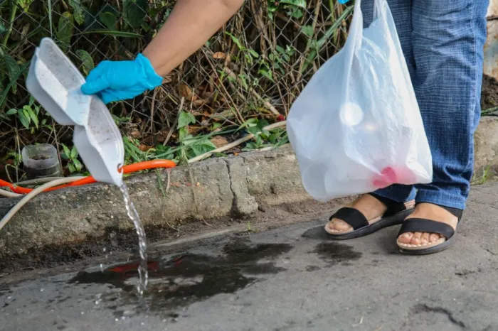 Amazonas atualiza situação das arboviroses nesta quinta-feira