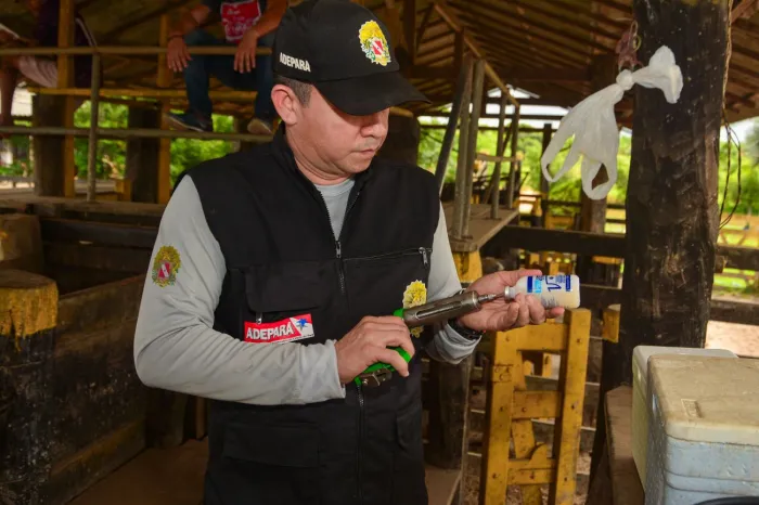 Foto: Divulgação / Agência Pará