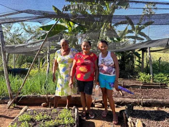Foto: Reprodução/Secom Piauí