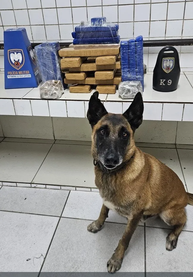 Foto: Reprodução/Polícia Militar - ES