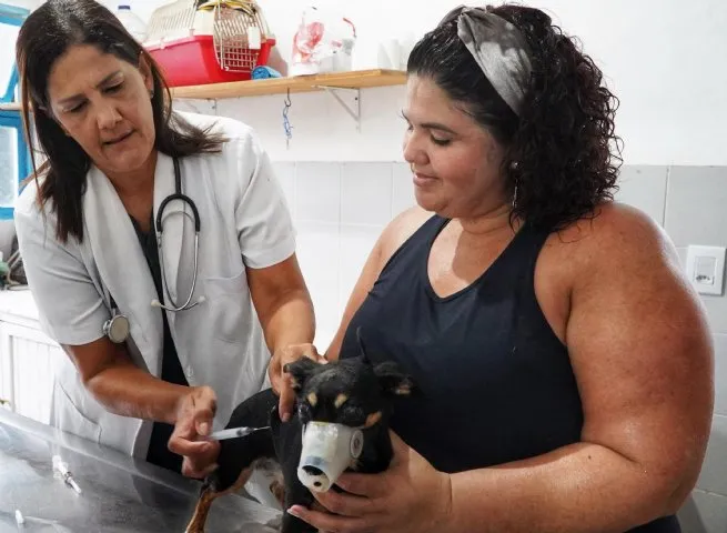 Vacinação animal avança na Costa Sul e chega em Boiçucanga na próxima segunda-feira (28)