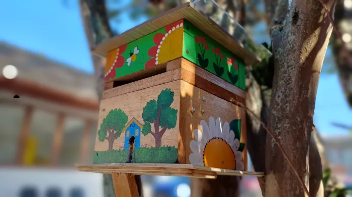 Foto: Reprodução/Secom SC