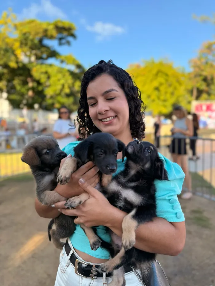 Prefeitura promove ‘Pit Stop Animal’ com serviços gratuitos para a população