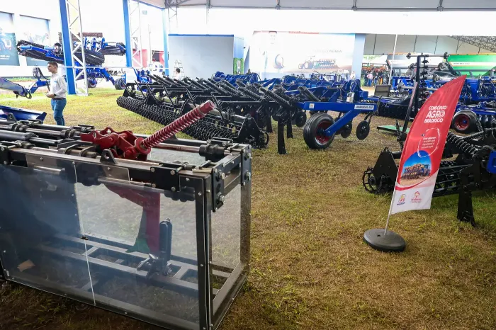 Foto: Marco Santos / Ag. Pará